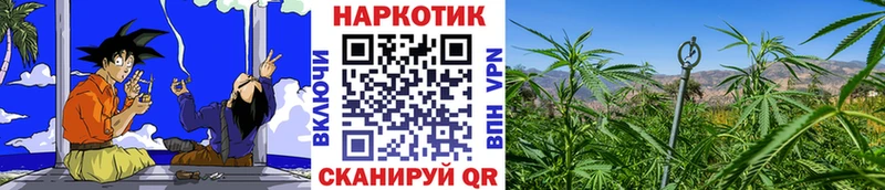 Сколько стоит Таганрог A-PVP Бошки Шишки КОКАИН