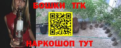 шишки Гусиноозёрск