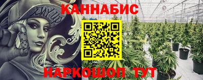шишки Гусиноозёрск