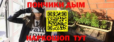 шишки Гусиноозёрск