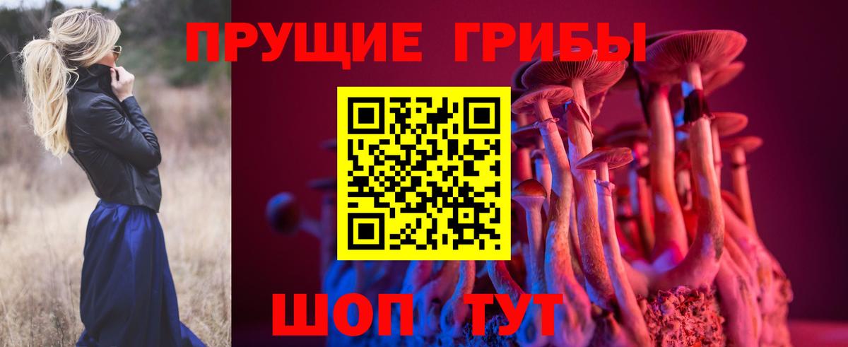 Галлюциногенные грибы мухоморы Таганрог
