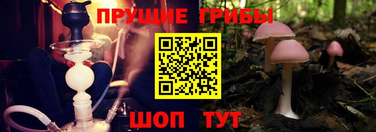 Каннабис  Таганрог  Мефедрон кристаллы  ГАШ  Вход с VPN  КОКАИН 